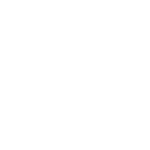 Wealth of Coins